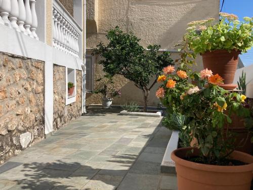 Φωτογραφία από το άλμπουμ του Olga's Place στις Σπέτσες