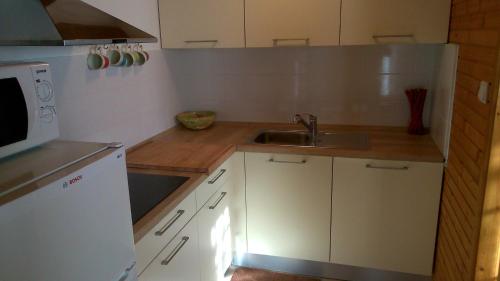 Fotografie z fotogalerie ubytování Apartments Jelka v destinaci Kranjska Gora