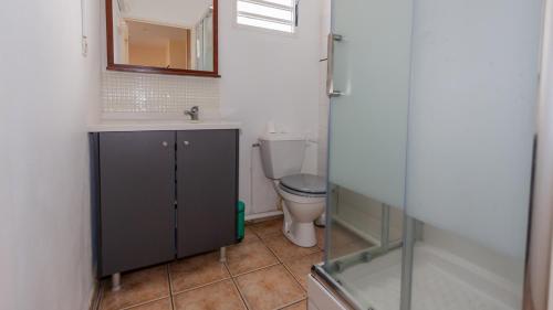 La salle de bains est pourvue de toilettes, d'un lavabo et d'un miroir. dans l'établissement Grand studio lumineux à Saint-Gilles-les-Bains, à Saint-Gilles les Bains