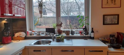 encimera de cocina con fregadero y ventana en La chambre rose, en Rosenwiller
