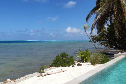 a swimming pool next to the ocean with a palm tree at Pkbleucoco in Opoa