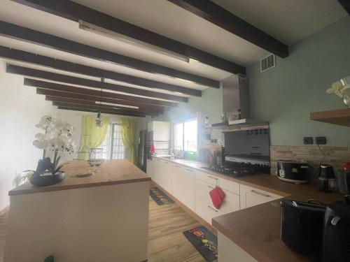 Η κουζίνα ή μικρή κουζίνα στο Entre Volcan et Montagnes