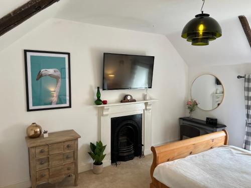 um quarto com uma cama, uma televisão e uma lareira em Spacious 4 Bedroom Farmhouse em Pembrokeshire