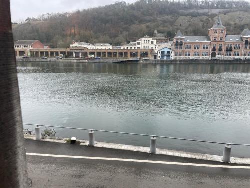 a large body of water with buildings and a city at Gîtes La vue sur Meuse in Dinant