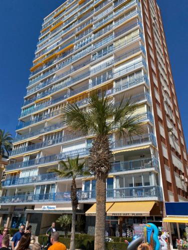 Kép Las Palmeras 15D szállásáról Benidormban a galériában