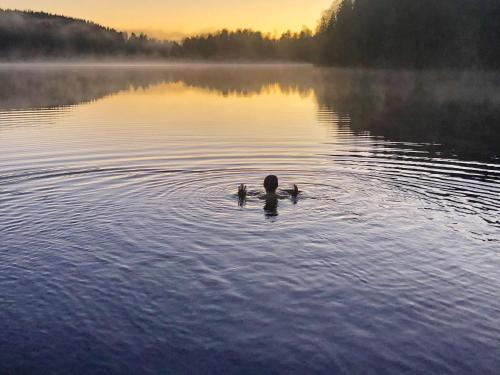 a person swimming in a lake at sunset at 6 person holiday home in TÖCKSFORS-By Traum in Töcksfors