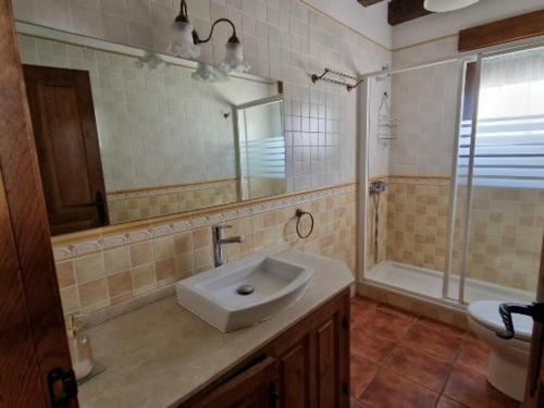 y baño con lavabo, ducha y aseo. en CASA RURAL LA FINCA DEL POZO en Segovia