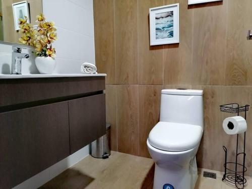 a bathroom with a white toilet and a sink at Paradise Room Rialto Residences in Santiago de los Caballeros