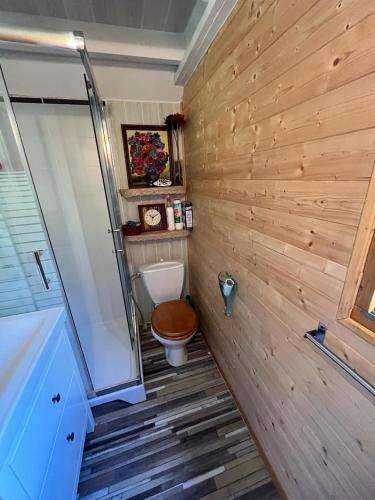 une petite salle de bain avec toilettes et douche dans l'établissement Chalet authentique, à La Salette-Fallavaux