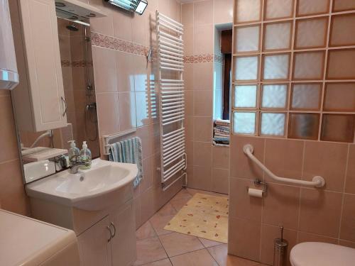 uma casa de banho com um lavatório, um chuveiro e um WC. em Domačija pri Ivankovih em Osilnica