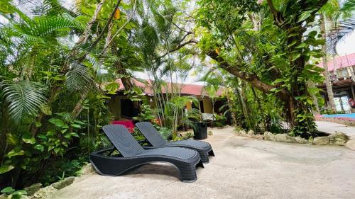 two chairs sitting next to each other in a garden at Hotel B&B - 5th Avenue in Playa del Carmen