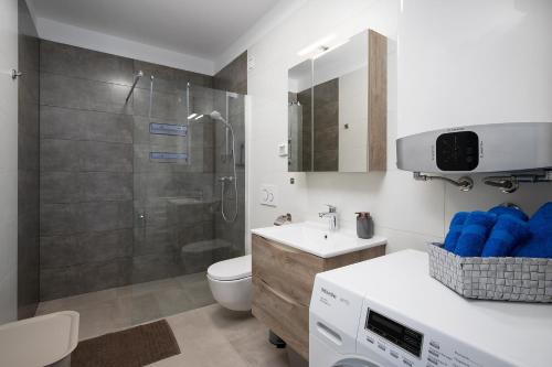 a bathroom with a shower and a toilet and a sink at Apartman Damjan in Pješčana Uvala