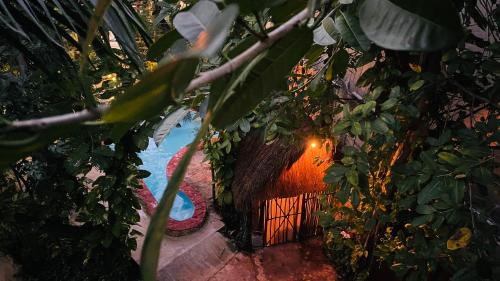a bird house with a pool in a garden at Hotel B&B - 5th Avenue in Playa del Carmen