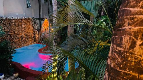a pool in a garden with a palm tree at Hotel B&B - 5th Avenue in Playa del Carmen