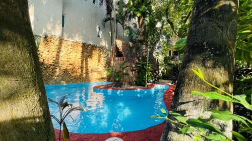 a blue swimming pool with trees in front of a building at Hotel B&B - 5th Avenue in Playa del Carmen
