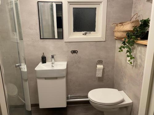 Koupelna v ubytování Mindre lägenhet i en lantlig miljö i Skrea