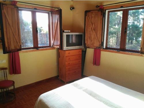 Schlafzimmer mit einem Bett, einem TV und Fenstern in der Unterkunft Floral garden house in Icod de los Vinos