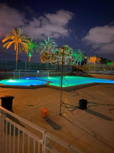 a swimming pool at night with palm trees at Exclusive view ocean in Natanya the sea promenade in Netanya