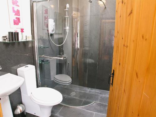 a bathroom with a shower with a toilet and a sink at The Fauld in Gilsland