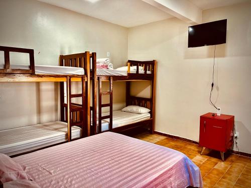 Katil atau katil-katil dalam bilik di Dom Alberto Hostel