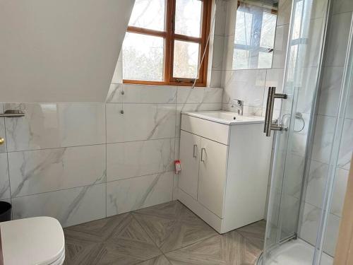 a bathroom with a shower and a sink and a toilet at Forest Studio Apartment gated Parking on 2 acres Garden in Chislehurst