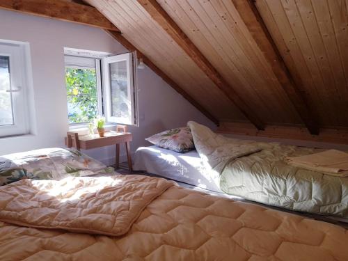 Gallery image of Sunny Bay House in Kotor