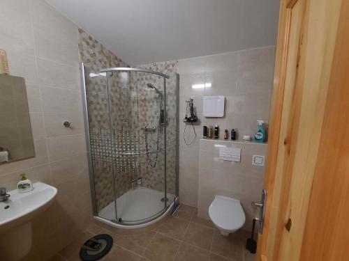 a bathroom with a shower and a toilet and a sink at Ubytování u MVE in Ludvíkov