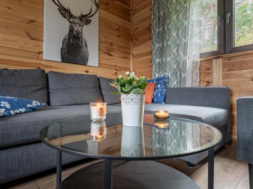 a living room with a glass table and a couch at Chata Leśna Polana in Kurzętnik