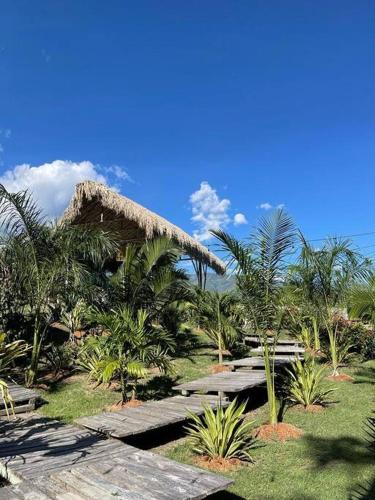 a resort with a bunch of trees and a pathway at finca playa seca in Santa Fe de Antioquia