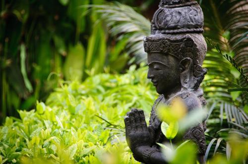 Zahrada ubytování Bali Garden Beach Resort