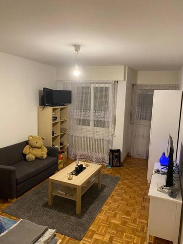 a living room with a teddy bear sitting on a couch at Studio charmant centré à Lausanne in Lausanne