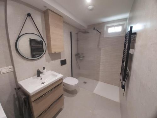uma casa de banho com um lavatório, um WC e um chuveiro em Appartement à Hendaye avec piscine et à côté de la plage em Hendaye