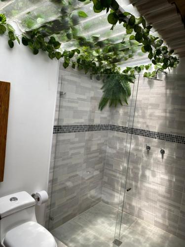 uma casa de banho com um WC e um chuveiro com plantas em HOTEL RESERVA DONATO em Nocaima