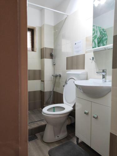 a bathroom with a toilet and a sink at Casa Sarti in Eşelniţa