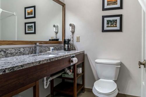 a bathroom with a toilet and a sink and a mirror at Comfort Inn East Oregon - Toledo in Oregon