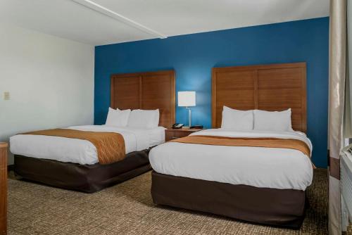 two beds in a hotel room with blue walls at Comfort Inn East Oregon - Toledo in Oregon