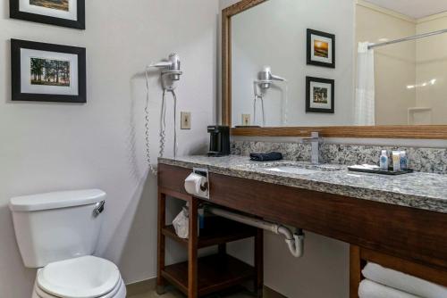 a bathroom with a toilet and a sink and a mirror at Comfort Inn East Oregon - Toledo in Oregon