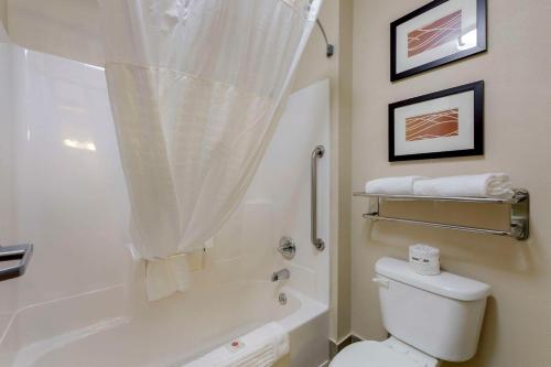 a bathroom with a tub and a toilet and a shower at Comfort Inn Mount Vernon in Mount Vernon