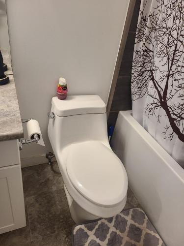 a bathroom with a white toilet and a bath tub at Winnipeg Peace Home in Winnipeg