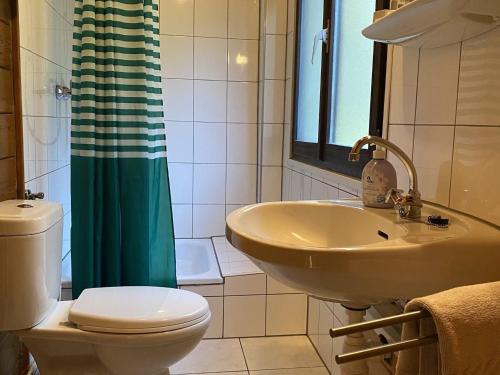 a bathroom with a sink and a toilet and a shower at Cozy holiday home on a horse farm in the Lüneburg Heath in Eschede
