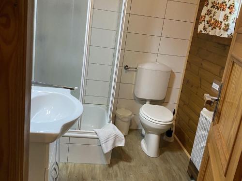 een kleine badkamer met een toilet en een wastafel bij Cozy holiday home on a horse farm in the Lüneburg Heath in Eschede