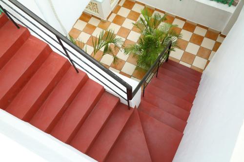 an overhead view of a staircase with palm trees at La Maison Radha in Puducherry