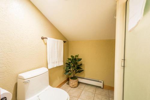 a bathroom with a toilet and a potted plant at Majestic Suite 5 Bedroom Brighton Chalet in Brighton