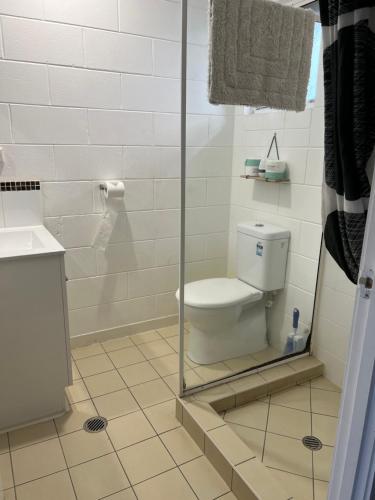 a bathroom with a toilet and a shower at Spanish Lace Motor Inn in Townsville