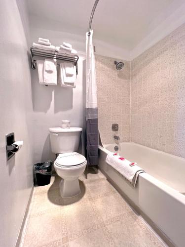 a bathroom with a white toilet and a bath tub at Economy Inn in Florence