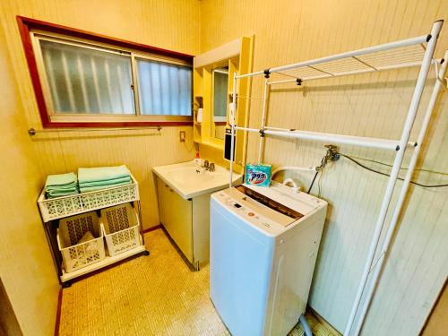 ワイルドライフ　森風 في Hiki: حمام صغير مع مغسلة وغسالة ملابس