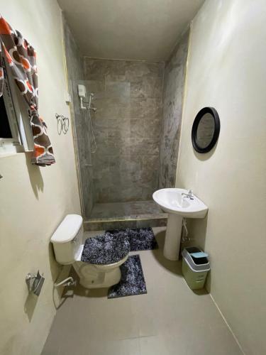 ein Bad mit einem WC, einem Waschbecken und einer Dusche in der Unterkunft Hagley Park Villa 