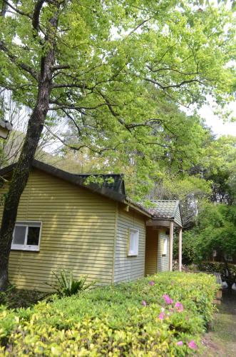 a yellow house with a tree in front of it at Chilan Hotel in Datong