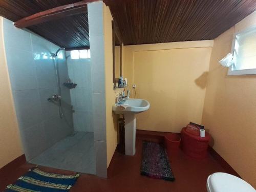 a bathroom with a shower and a sink and a toilet at Villa Meva in Antanamitarana Atsimo