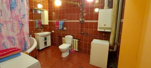 a small bathroom with a toilet and a sink at Holiday Home at Fedkovycha St. in Kyiv